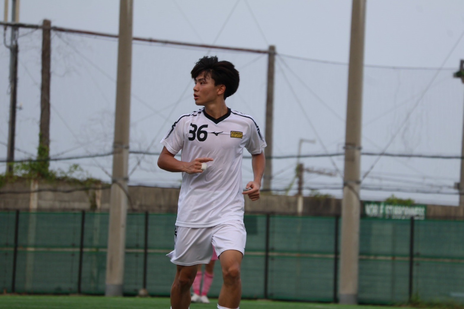s__239829011.jpg