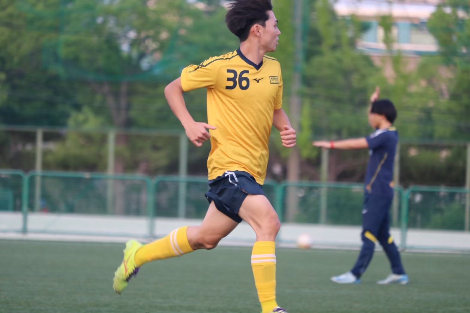 s__239829012.jpg