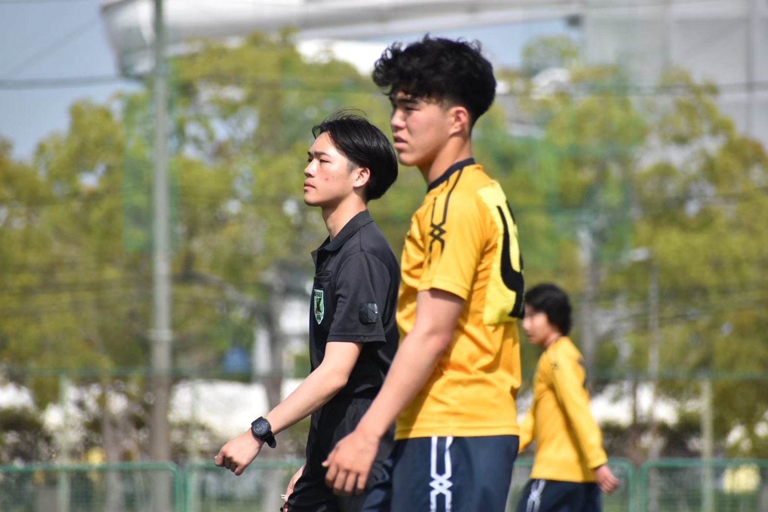 s__239829025.jpg