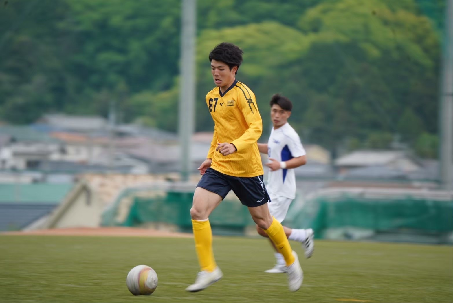 s__239829019.jpg