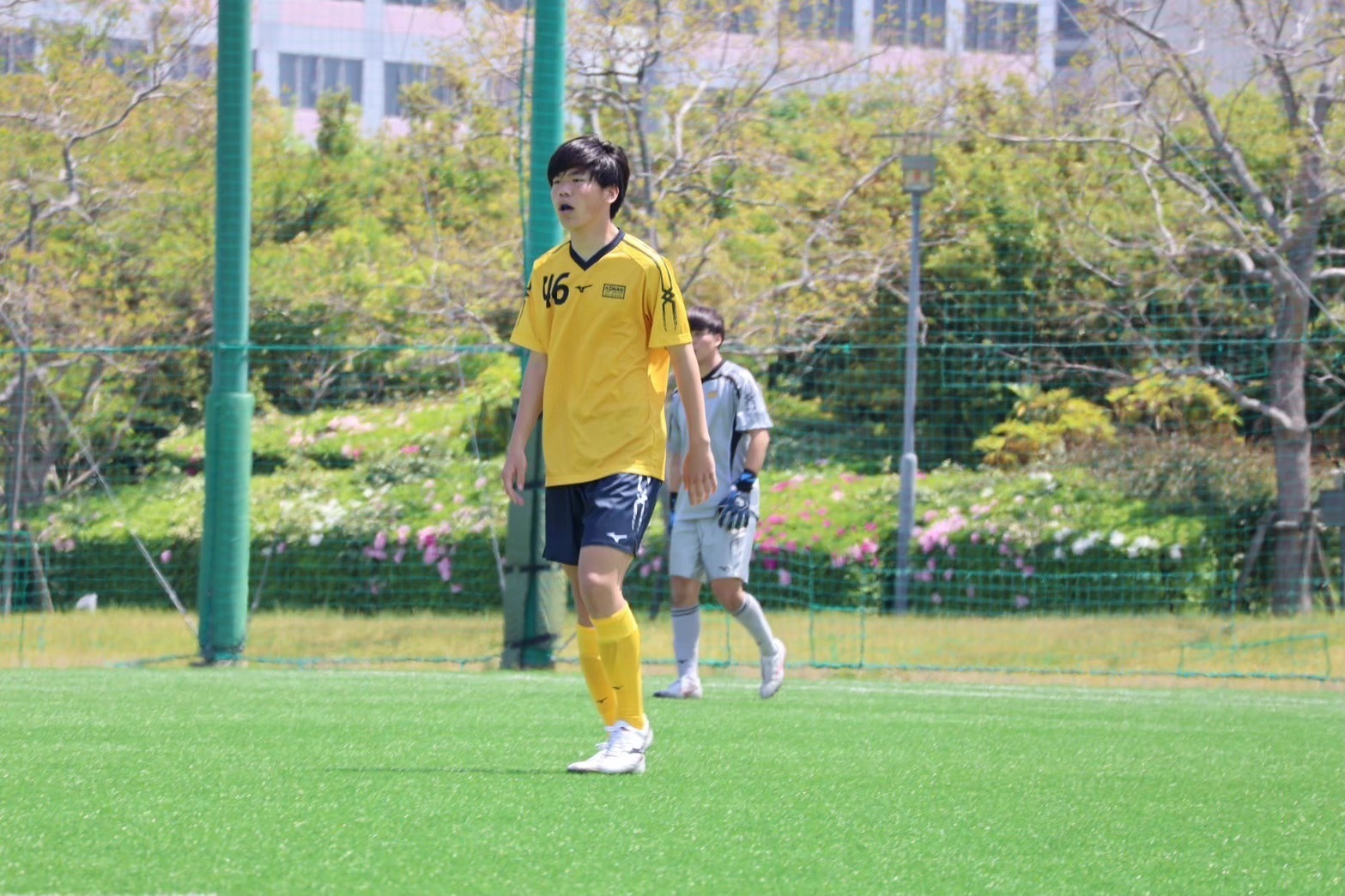 s__239919125.jpg