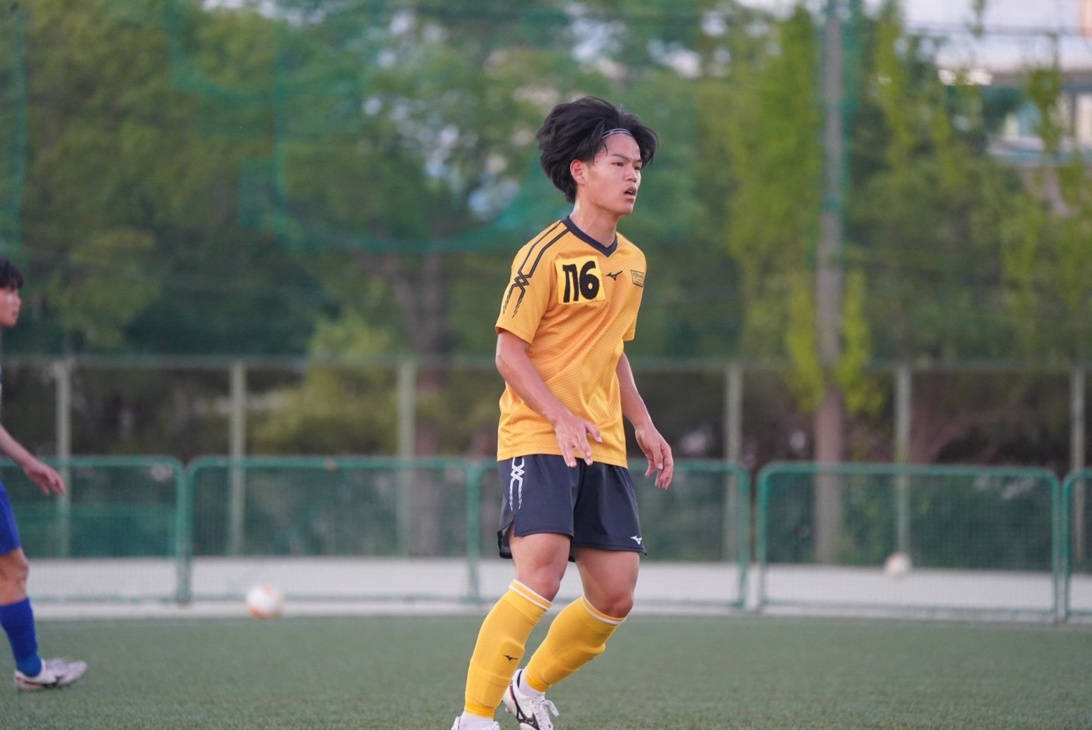 s__239919120.jpg