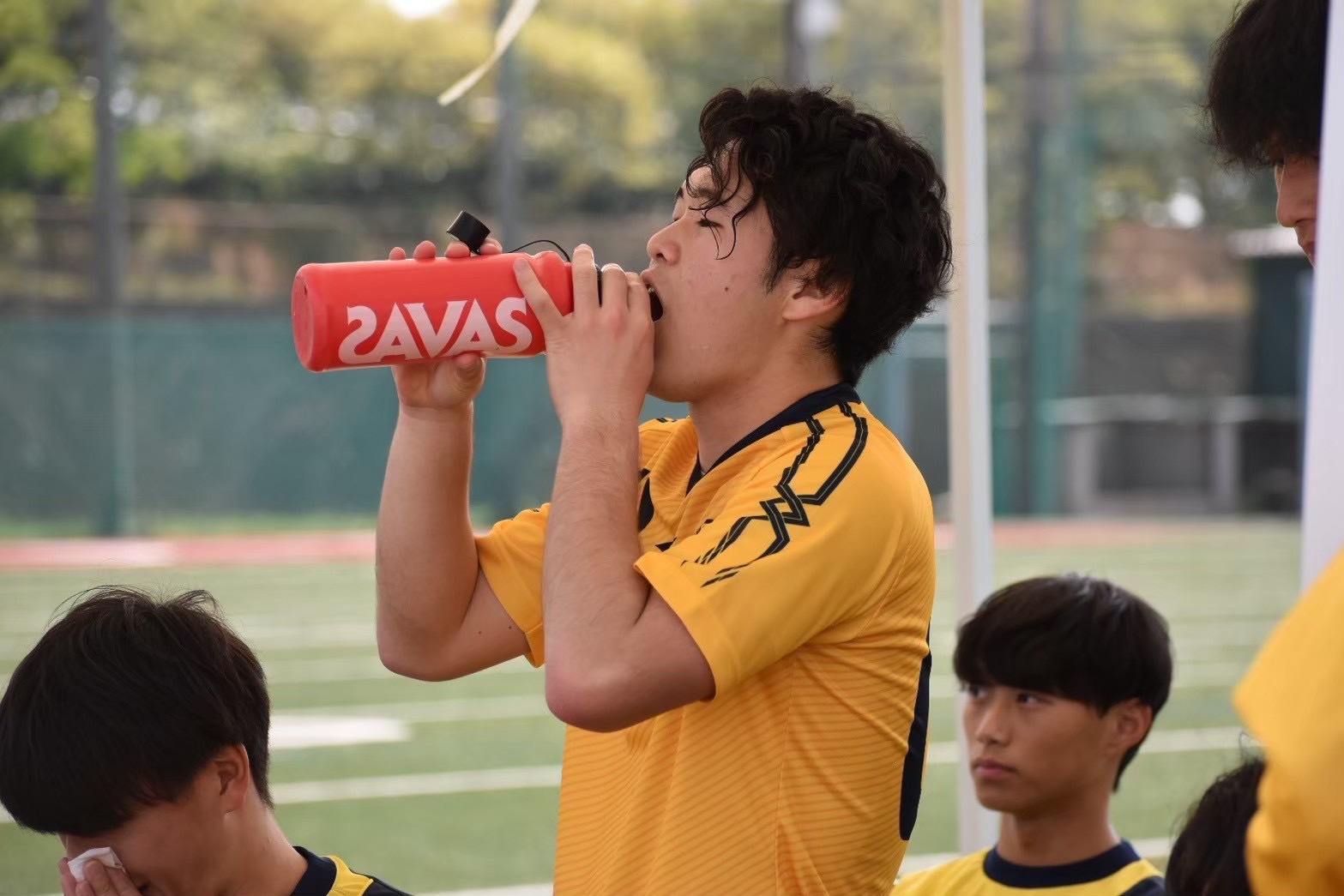 s__239919129.jpg