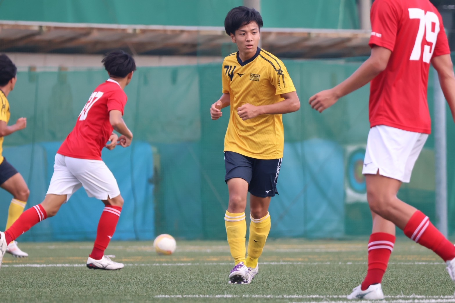 s__242016295.jpg