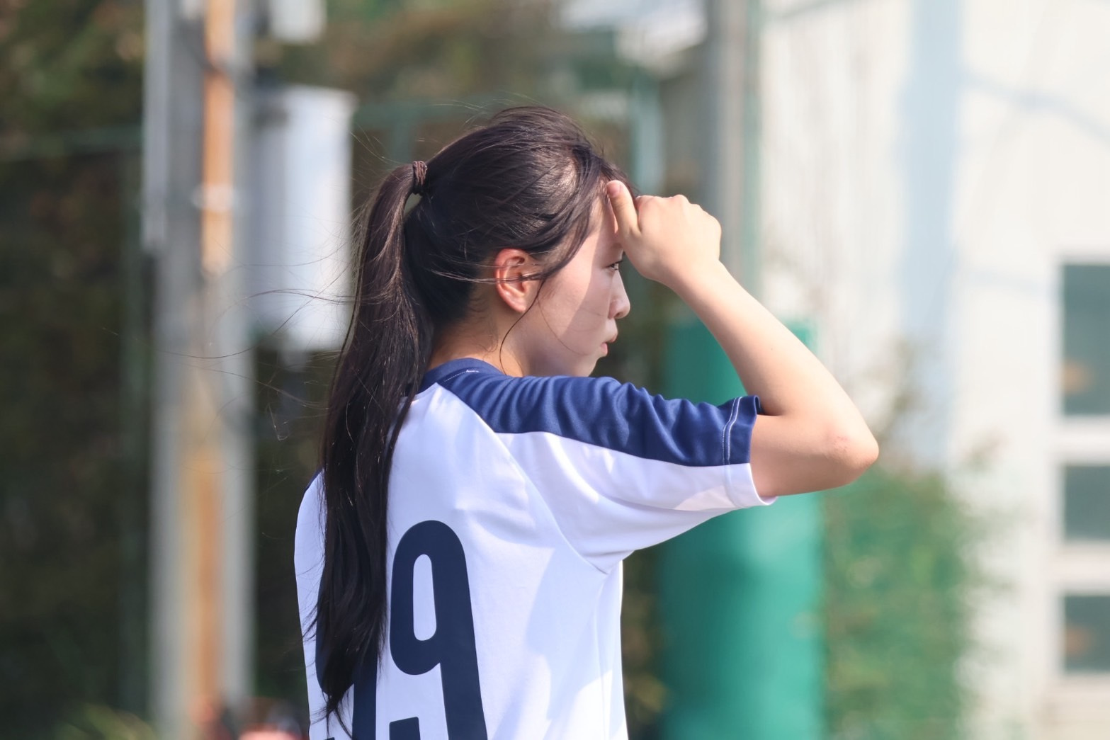 s__244834339.jpg